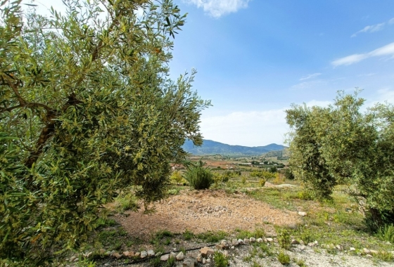 Resale - Country house - Hondón de las Nieves - Vinalopó Medio