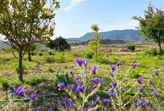 Resale - Country house - Hondón de las Nieves - Vinalopó Medio