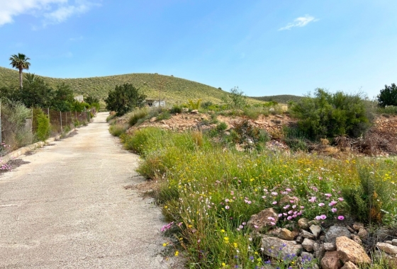 Resale - Country house - Hondón de las Nieves - Vinalopó Medio