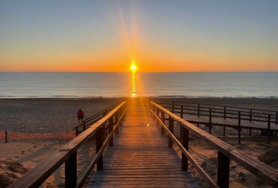 Resale - Apartment / flat - Torrevieja - LA MATA