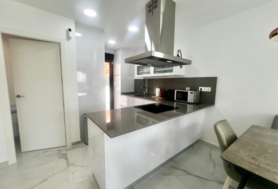 New Build - Villa - Torrevieja - Torreta