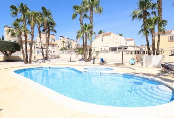 Rynek Wtórny - Apartament - San Miguel de Salinas