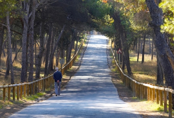 Resale - Apartment / flat - Guardamar del Segura