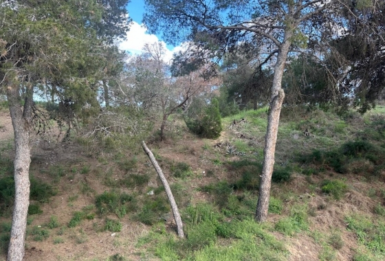 Resale - Apartment / flat - Guardamar del Segura