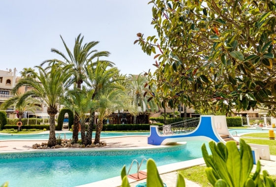 Resale - Apartment / flat - Torrevieja - Torrevieja - Playa de los Locos