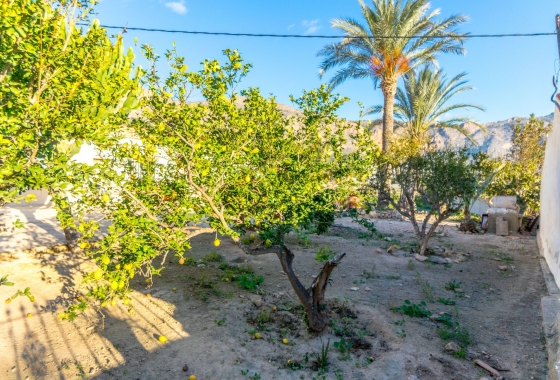Resale - Finca - Orihuela Costa - Orihuela