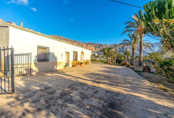 Resale - Finca - Orihuela Costa - Orihuela