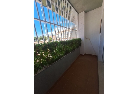 Resale - Apartment / flat - Torrevieja - La Mata pueblo