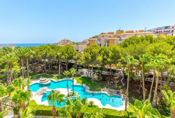 Reventa - Apartamento / piso - Campoamor