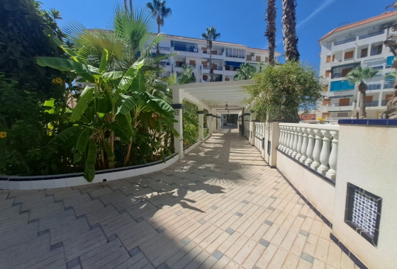 Resale - Apartment / flat - La Mata