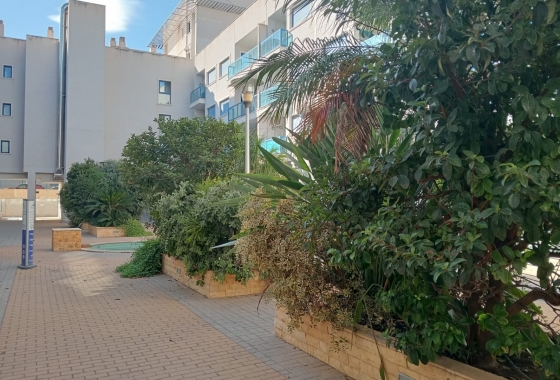 Resale - Apartment / flat - Alicante -  Urbanization