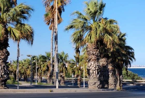 Resale - Apartment / flat - Alicante -  Urbanization