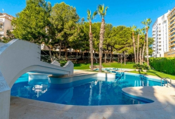 Resale - Apartment / flat - Orihuela Costa - Campoamor