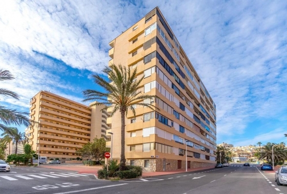 Reventa - Apartamento / piso - Torrevieja - Torrelamata - La Mata