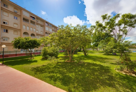 Resale - Apartment / flat - Torrevieja - El Acequión - Los Náufragos
