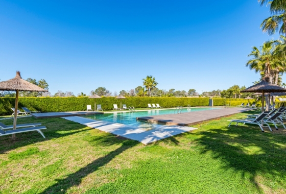 Resale - Apartment / flat - Dehesa De Campoamor