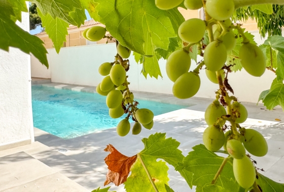 New Build - Villa - Torrevieja - Los Balcones - Los Altos del Edén