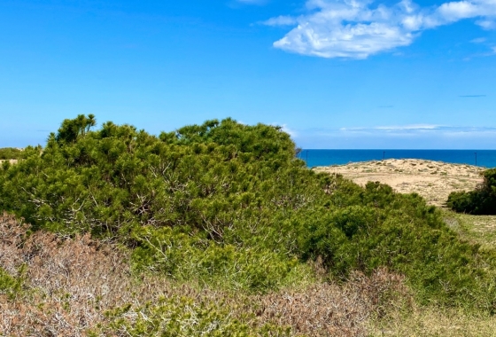 Resale - Apartment / flat - Torrevieja - LA MATA