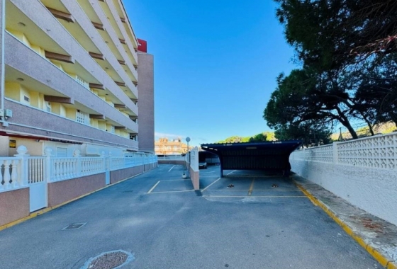 Rynek Wtórny - Apartament - La Mata