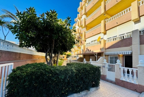 Rynek Wtórny - Apartament - La Mata