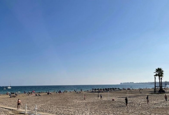 Reventa - Ático - Torrevieja - Torreblanca