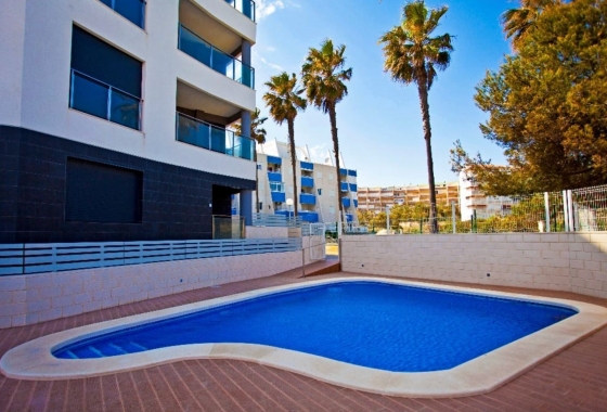 Reventa - Apartamento / piso - La Mata