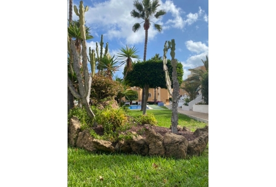 Reventa - Ático - Torrevieja - Torreblanca