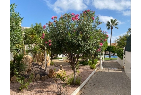 Reventa - Ático - Torrevieja - Torreblanca