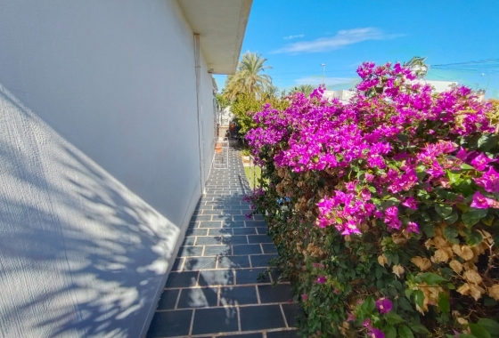 Rynek Wtórny - Bliźniak - Alicante - Campoamor