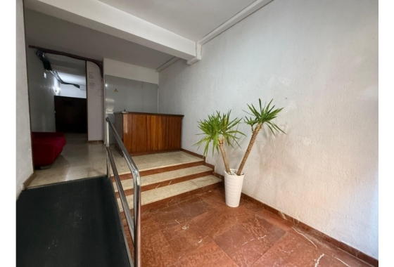 Reventa - Apartamento / piso - Benidorm - Levante
