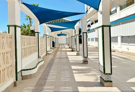 Reventa - Apartamento / piso - Torrevieja - LA MATA