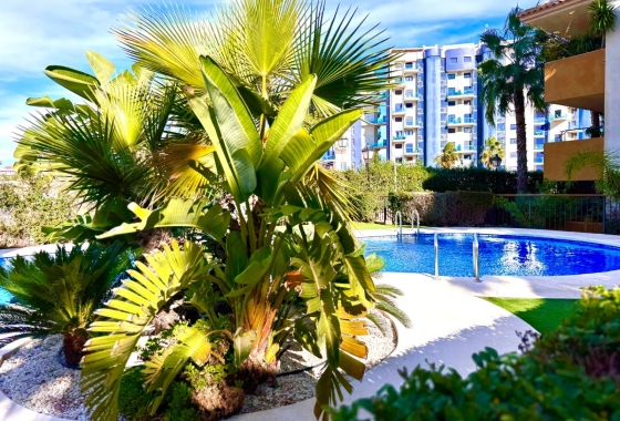 Reventa - Apartamento / piso - Punta Prima