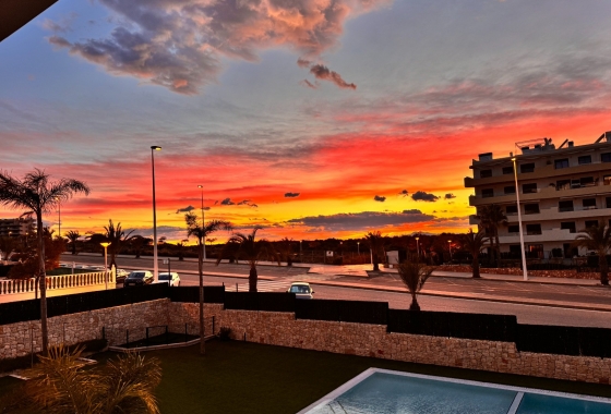 Rynek Wtórny - Apartament - Arenales del Sol - Arenales