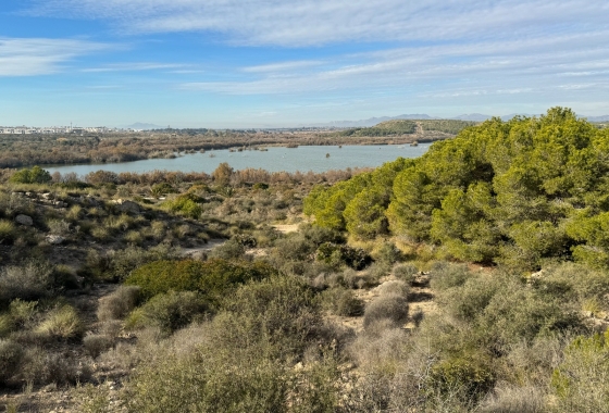 Rynek Wtórny - Apartament - Arenales del Sol - Arenales