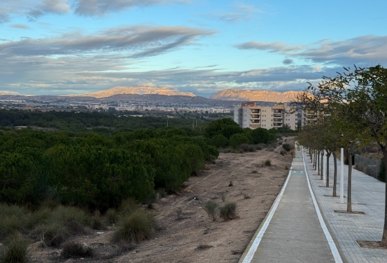 Rynek Wtórny - Apartament - Arenales del Sol - Arenales