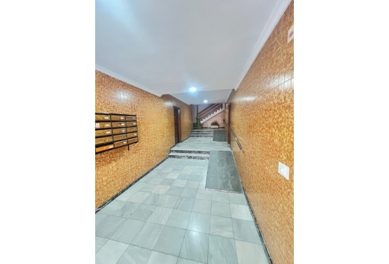 Rynek Wtórny - Apartament - Torrevieja - Playa del Acequión