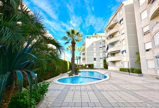 Reventa - Apartamento / piso - Torrevieja - Playa del Cura