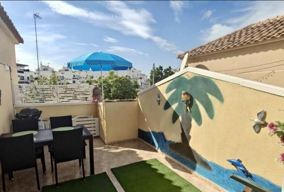 Reventa - Casa - Torrevieja -  Urbanización