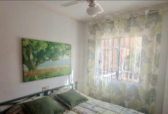 Reventa - Casa - Torrevieja -  Urbanización