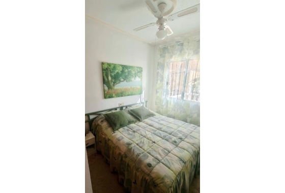 Reventa - Casa - Torrevieja -  Urbanización