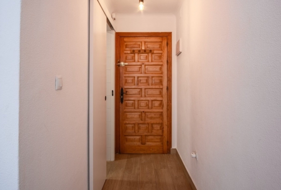 Reventa - Estudio - Torrevieja - Centro