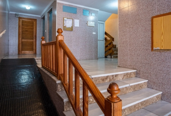 Reventa - Estudio - Torrevieja - Centro