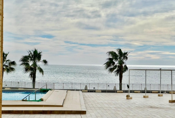 Reventa - Apartamento / piso - Torrevieja - Torrevieja - Playa del Cura