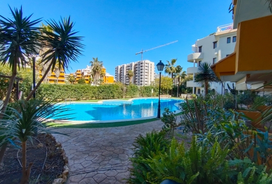 Rynek Wtórny - Apartament - Punta Prima