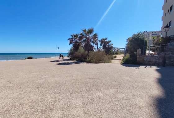 Rynek Wtórny - Apartament - Punta Prima