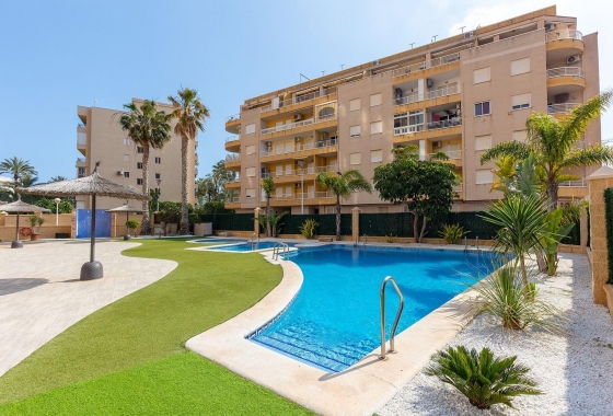Rynek Wtórny - Apartament - Torrevieja - PLAYA LOS LOCOS