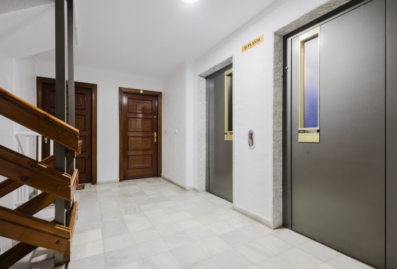 Obra nueva - Apartamento / piso - Torrevieja - Playa de La Acequion