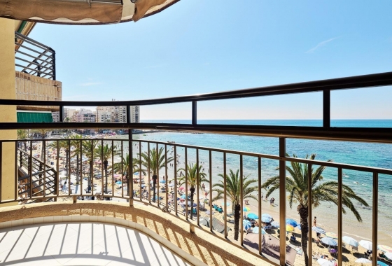 Rynek Wtórny - Apartament - Torrevieja - Torrevieja - Playa del Cura