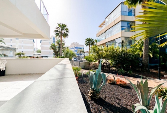 Reventa - Apartamento / piso - Orihuela Costa - Los Dolses