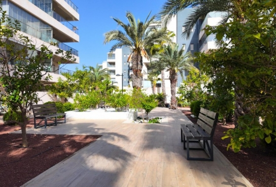 Reventa - Apartamento / piso - Orihuela Costa - Los Dolses